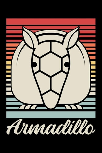Armadillo 6x9 120 Pages Quad Ruled Your Personal Diary for an Awesome Summer