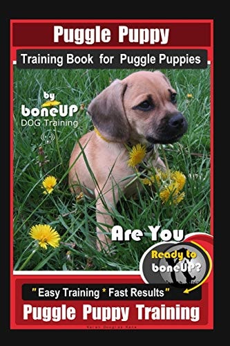 Puggle Puppy Training Book for Puggle Puppies By BoneUP DOG Training Are You Ready to Bone Up? Easy Training * Fast Results, Puggle Puppy Training