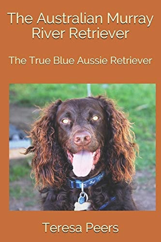 The Australian Murray River Retriever The True Blue Aussie Retriever