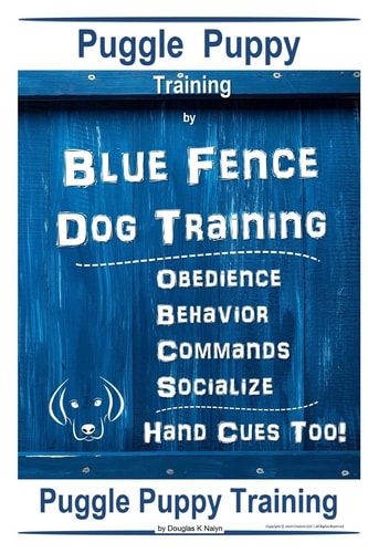 Puggle Puppy By Blue Fence Dog Training, Obedience - Behavior- Commands - Socialize, Hand Cues Too! Puggle Puppy Training