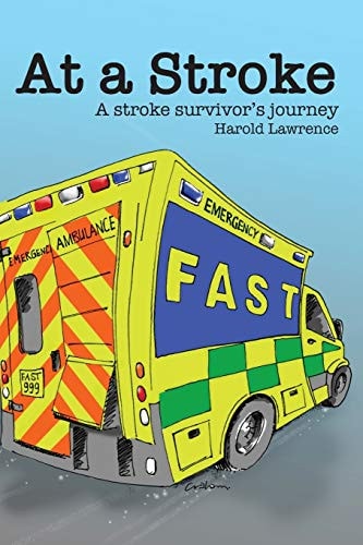 At a Stroke A Stroke Survivor's Journey