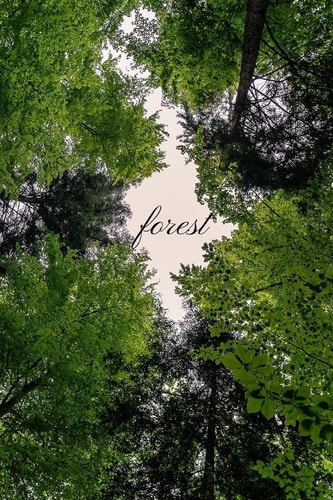 Forest Dot Grid Paper