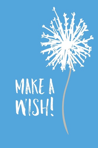 Make a Wish!