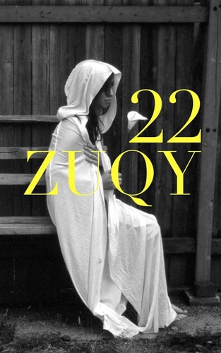 22 A Poetimagery Book