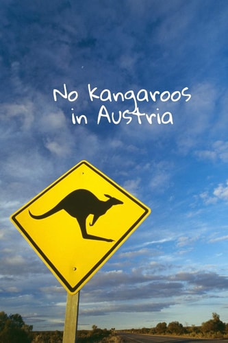 No Kangaroos in Austria