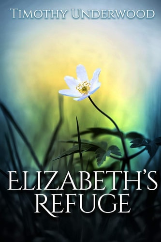 Elizabeth's Refuge An Elizabeth and Darcy Story