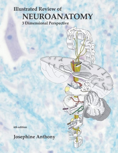 Illustrated Review of Neuroanatomy 3 Dimensional Perspective