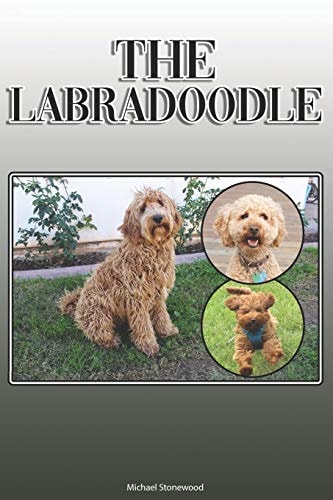 The Labradoodle A Complete and Comprehensive Owners Guide To: Buying, Owning, Health, Grooming, Training, Obedience, Understanding and Caring for Your Labradoodle