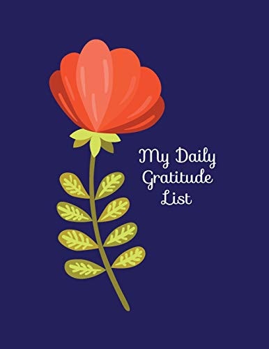 My Daily Gratitude List List 3 Things You Are Grateful for Each Day to Reap the Benefits of Positivity and Mindfulness