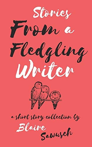 Stories From A Fledgling Writer A Short Story Collection