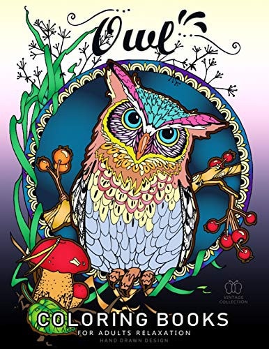 Owl Coloring Book for Adult Relaxation Featuring Charming Owl, Beautiful Flowers and Nature Patterns for Stress Relief and Relaxation New Version 2019