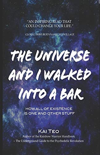 The Universe and I Walked Into a Bar How All of Existence Is One and Other Stuff