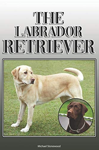 The Labrador Retriever A Complete and Comprehensive Owners Guide To: Buying, Owning, Health, Grooming, Training, Obedience, Understanding and Caring for Your Labrador Retriever