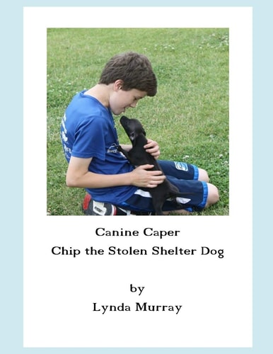 Canine Caper Stolen Shelter Dog