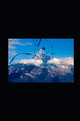 The Rabbit and the Mountain