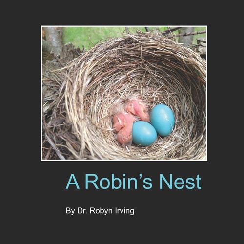 A Robin's Nest