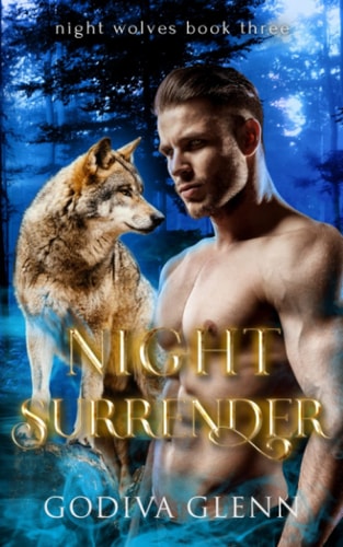Night Surrender