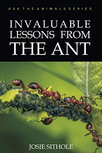 Invaluable Lessons from the Ant