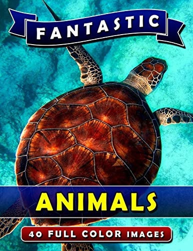 Fantastic Animals Picture Book Gift for Adults, Seniors and People with Alzheimer's and Dementia. Dementia Activities for Seniors Book