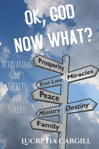 Ok, God Now What? Activating God's Secrets For Success