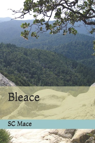 Bleace Find Yours