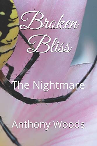 Broken Bliss The Nightmare