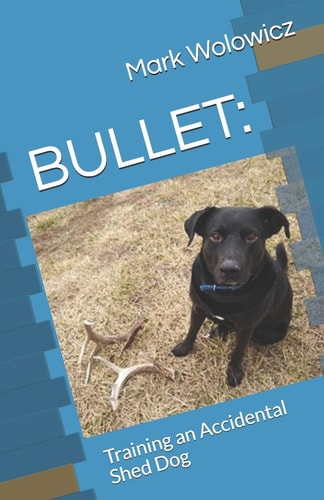 Bullet Training an Accidental Shed Dog