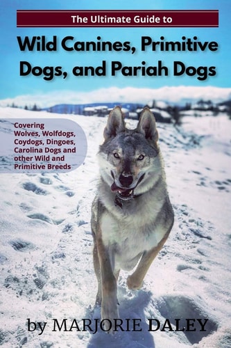 The Ultimate Guide to Wild Canines, Primitive Dogs, and Pariah Dogs An Owner's Guide Book for Wolfdogs, Coydogs, and Other Hereditarily Wild Dog Breeds