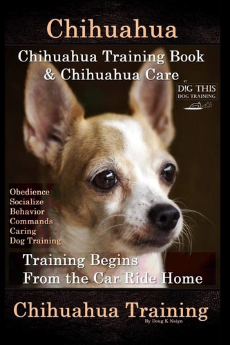 Chihuahua, Chihuahua Training Book & Chihuahua Care By D!G THIS DOG TRAINING Obedience, Socialize, Behavior, Commands, Caring, Dog Training, Training Begins From the Car Ride Home, Chihuahua Training