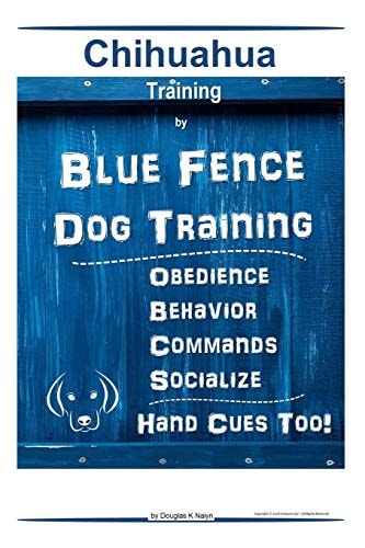 Chihuahua By Blue Fence Dog Training Obedience - Behavior Commands - Socialize Hand Cues Too! Chihuahua Training