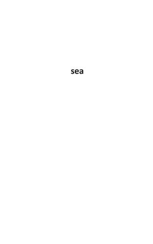 Sea