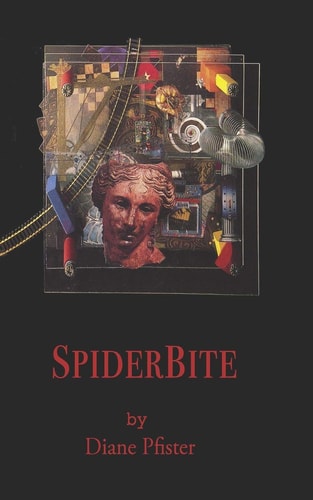 SpiderBite Trapped Between Western Medicine and Native American Cures, a Mother Battles the System to Save Her Child.