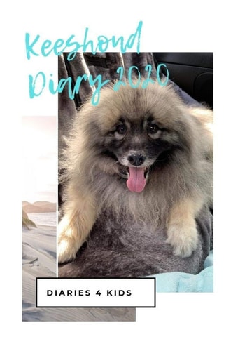 Keeshond Diary 2020 Australian Edition