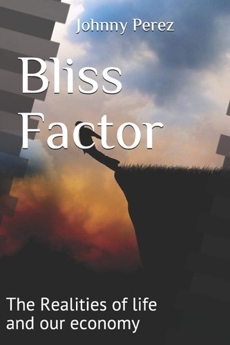 Bliss Factor The Realities of Life and Our Economy