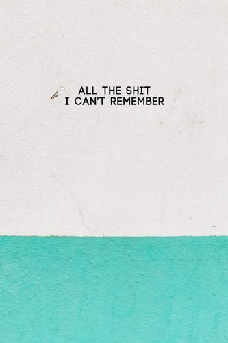 All the Shit I Can't Remember Password Keeper and Finder Notebook W/ White & Green Paint on House Wall Texture Design Gift