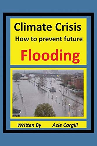 Climate Crisis A Plan to Prevent Future Flooding
