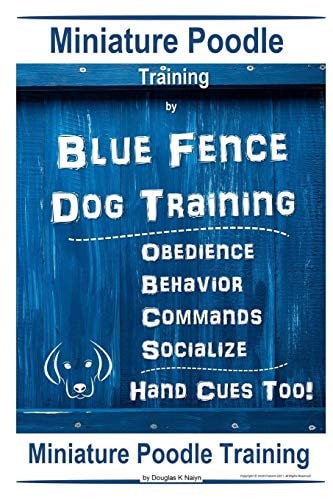 Miniature Poodle By Blue Fence Dog Training, Obedience - Behavior Commands - Socialize, Hand Cues Too! Miniature Poodle Training