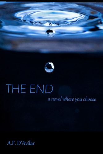 The End A Novel Where You Choose