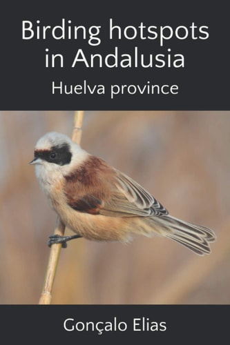 Birding Hotspots in Andalusia Huelva Province