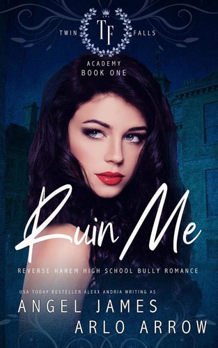 Ruin Me A Reverse Harem High School Bully Romance