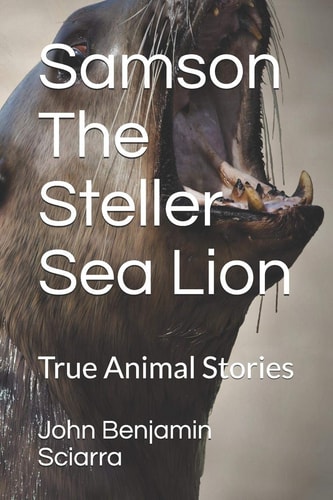 Samson The Steller Sea Lion True Animal Stories