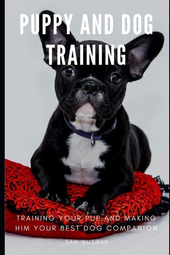 Puppy and Dog Training Training Your Pup and Making Him Your Best Dog Companion