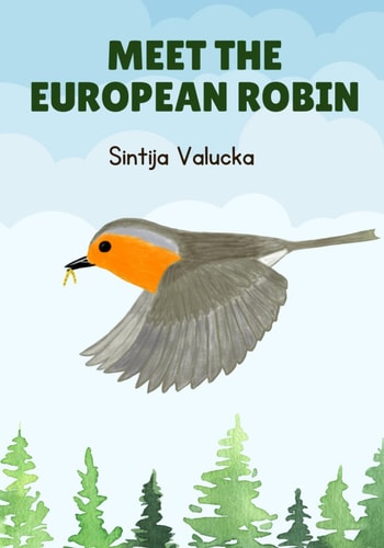 Meet the European Robin