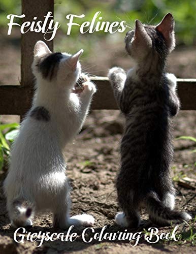 Feisty Felines Greyscale Colouring Book Proceeds Go to No-Kill Kitty Shelters Throughout South Africa