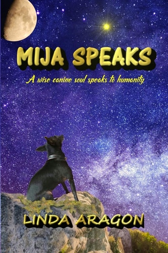 Mija Speaks A Wise Canine Soul Speaks to Humanity