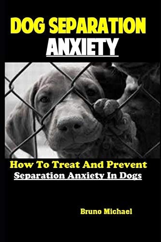 Dog Separation Anxiety How To Treat And Prevent Separation Anxiety In Dogs