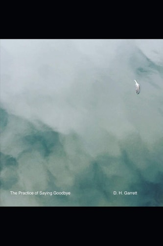 The Practice of Saying Goodbye