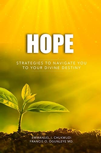 Hope Strategies to Navigate You to Your Divine Destiny