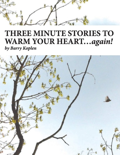 THREE MINUTE STORIES to WARM YOUR HEART... Again! Volume 2