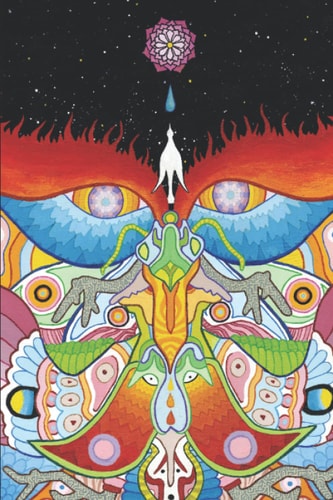 Dive Manual Empirical Investigations of Mysticism